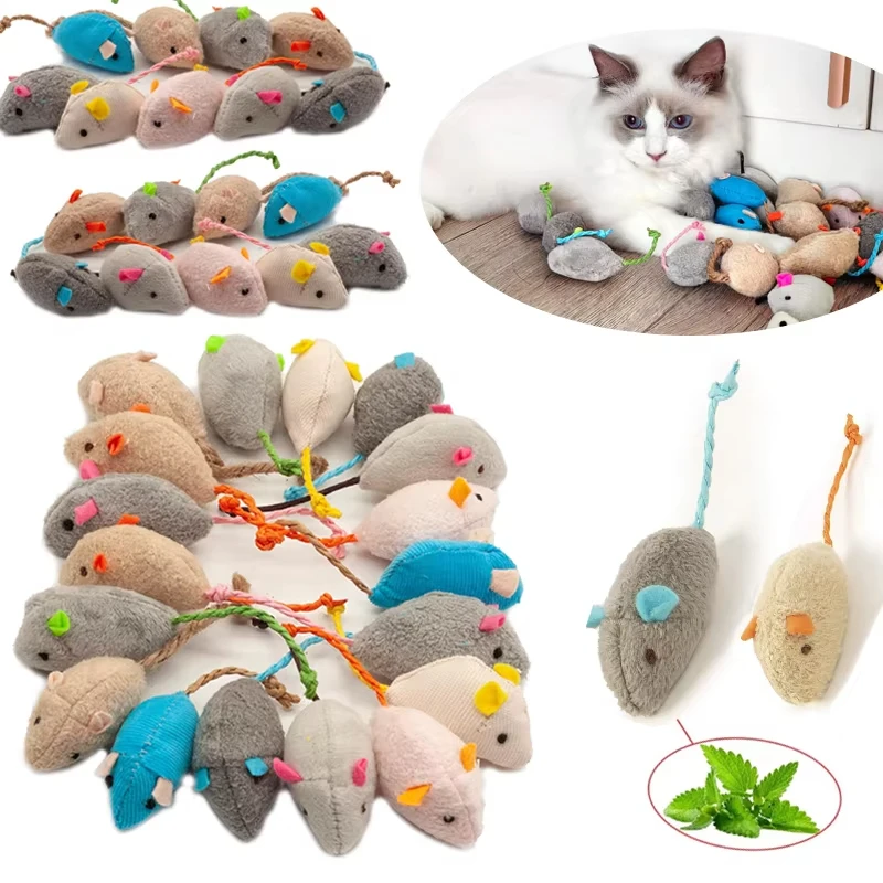 Catnip Interactive Plush Mouse - 5 pezzi di giocattoli sonori a