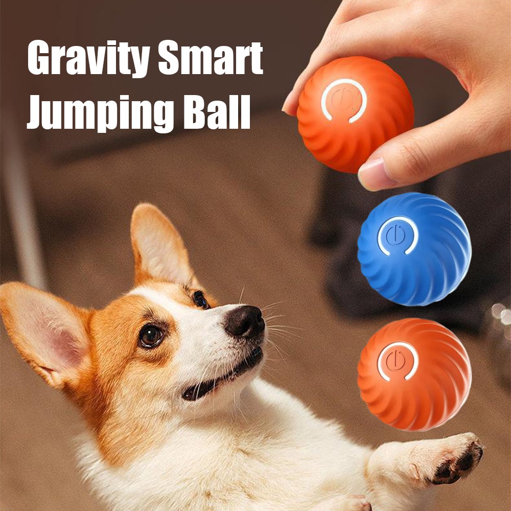 Automatic Moving Dog Ball - Nuovo 1pc giocattolo per cani in