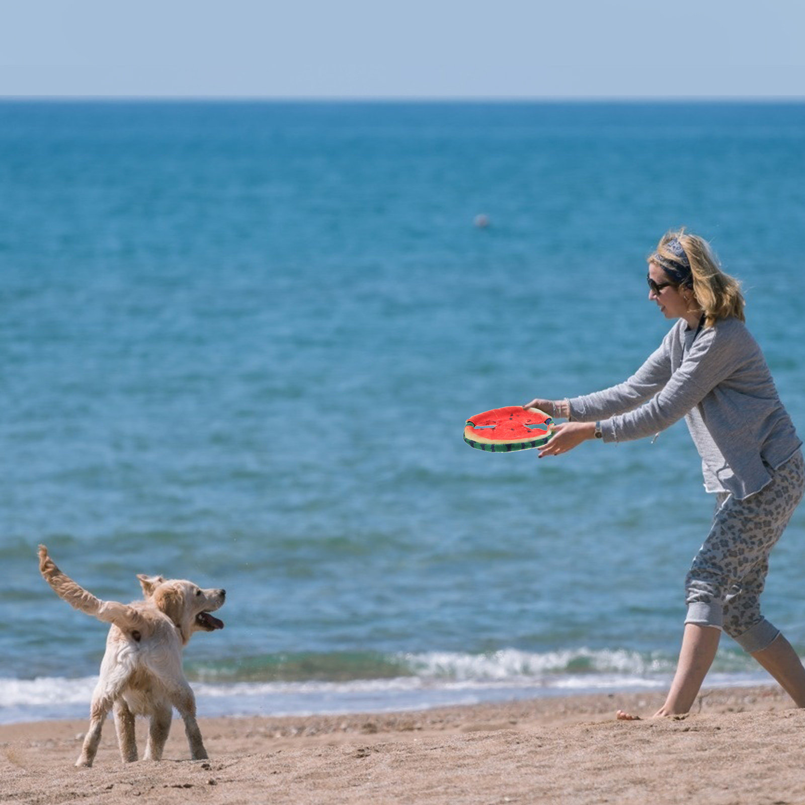 Flying Disc Dog Training Toy - Disco Volante per Cani con Design
