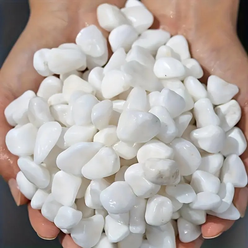 Perlite di alta qualità da 1L  - Pet Beds recensione e prezzo