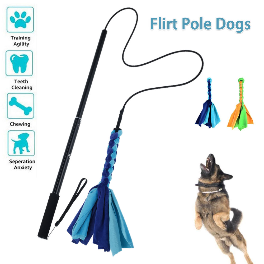Cani Flirtare Lure Pole Stick  - Interactive Squeaky Plush Dog Toy recensione e prezzo
