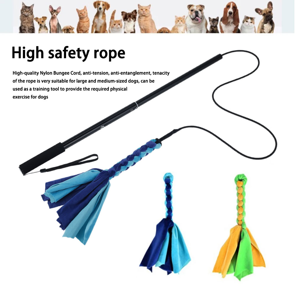 Cani Flirtare Lure Pole Stick  - Interactive Squeaky Plush Dog Toy recensione e prezzo